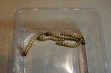 zophobas morio